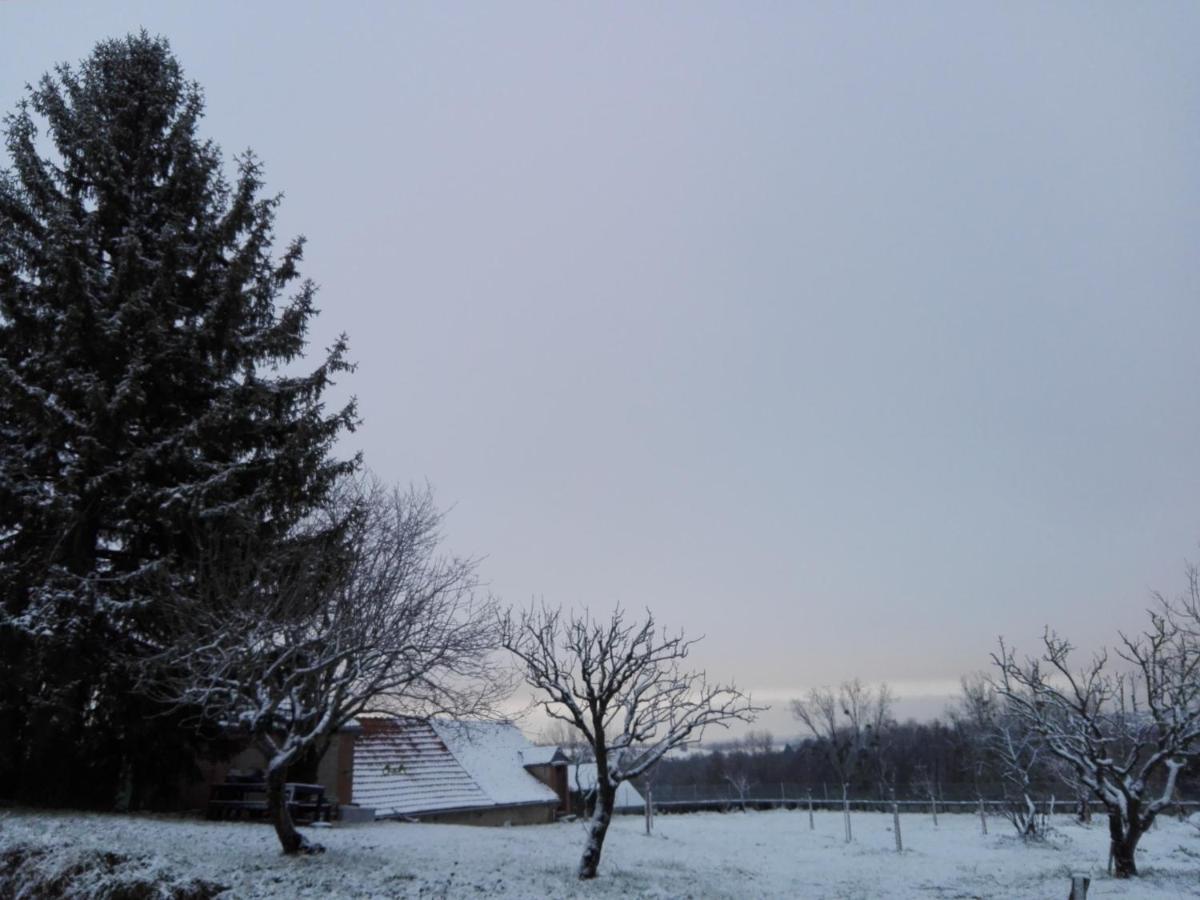 Bed and Breakfast Chez Casimir Cercy-la-Tour Екстер'єр фото